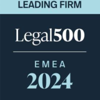 EMEA_Leading_firm_2024-272x300